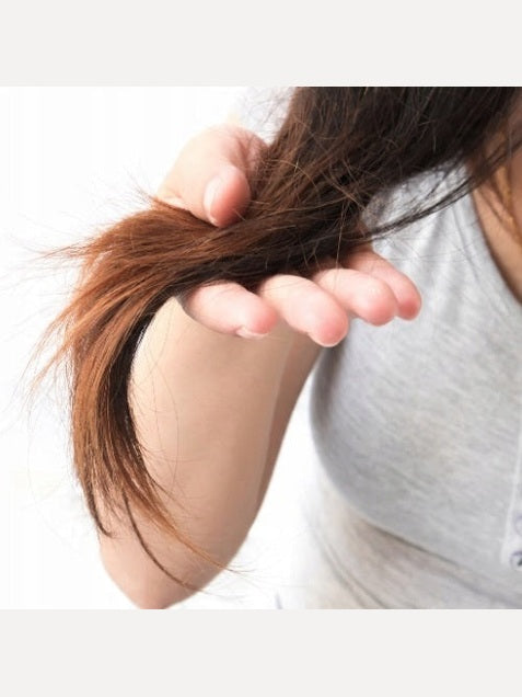 d297164792516b6c7b4a108d8f11fa4e